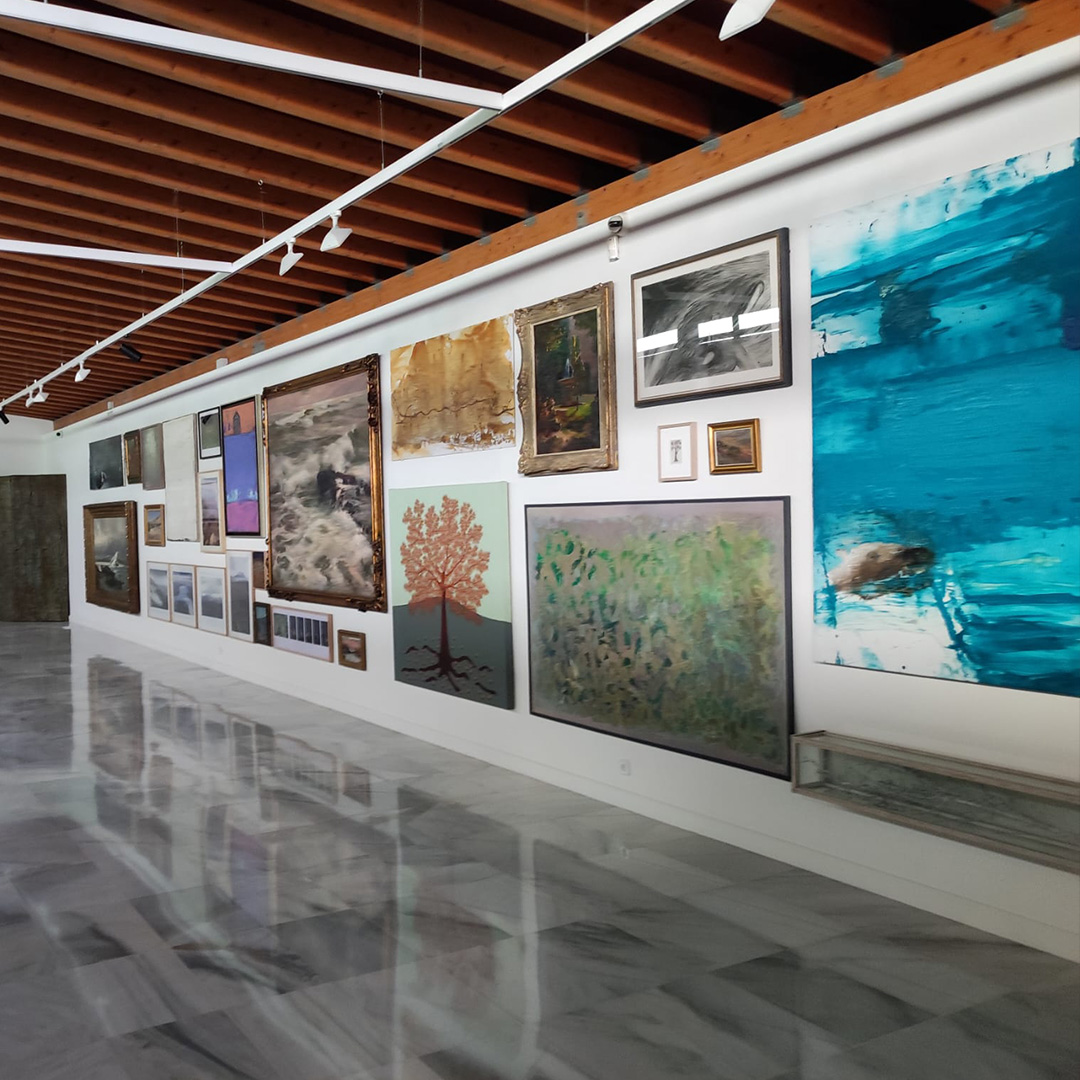 Exposición Naturaleza en Resistencia. Re-pensar nuestra Colección